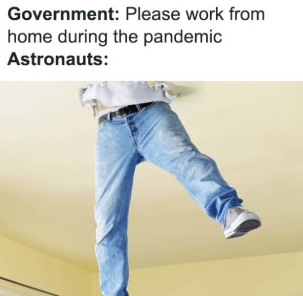 Work From Home Memes (31 pics)