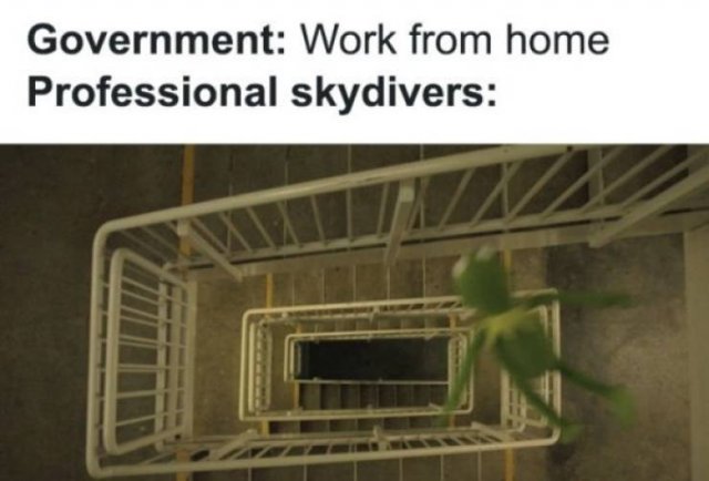 Work From Home Memes (31 pics)