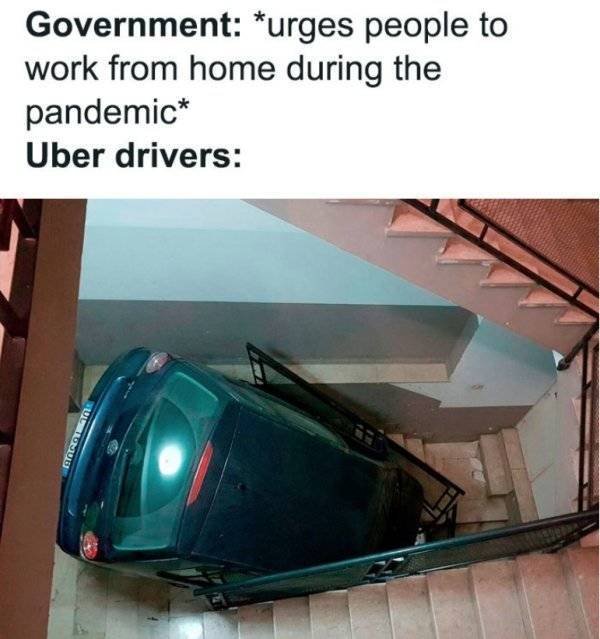 Work From Home Memes (31 pics)