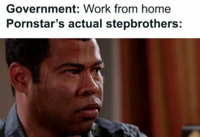 Work From Home Memes (31 pics)