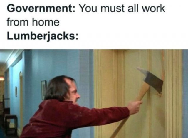 Work From Home Memes (31 pics)