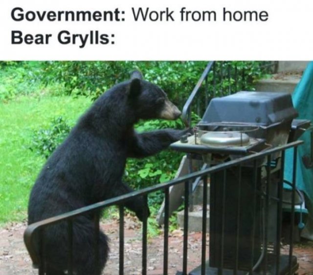 Work From Home Memes (31 pics)