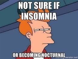 Insomnia Memes (29 pics)