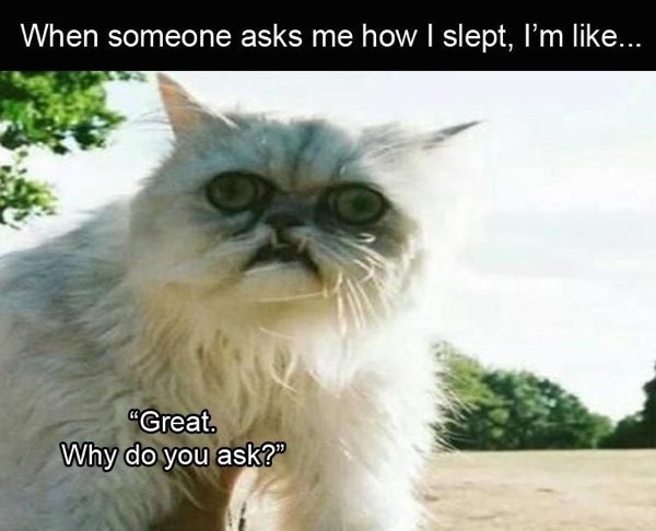 Insomnia Memes (29 pics)