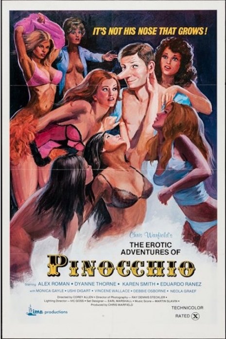 Vintage X-Rated Movie Posters (29 pics)