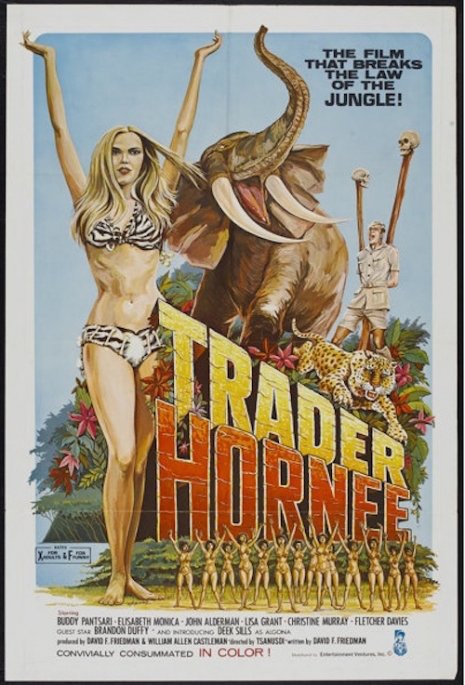 Vintage X-Rated Movie Posters (29 pics)