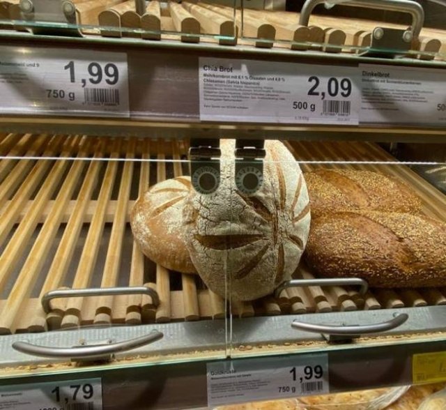 Look Twice (15 pics)