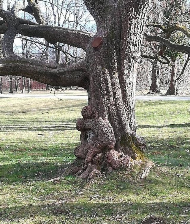 Look Twice (15 pics)