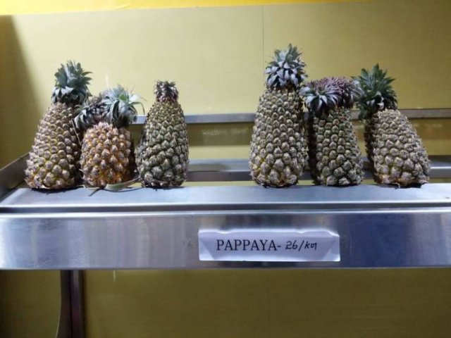 Annoying Things (20 pics) Annoying Things (20 pics)