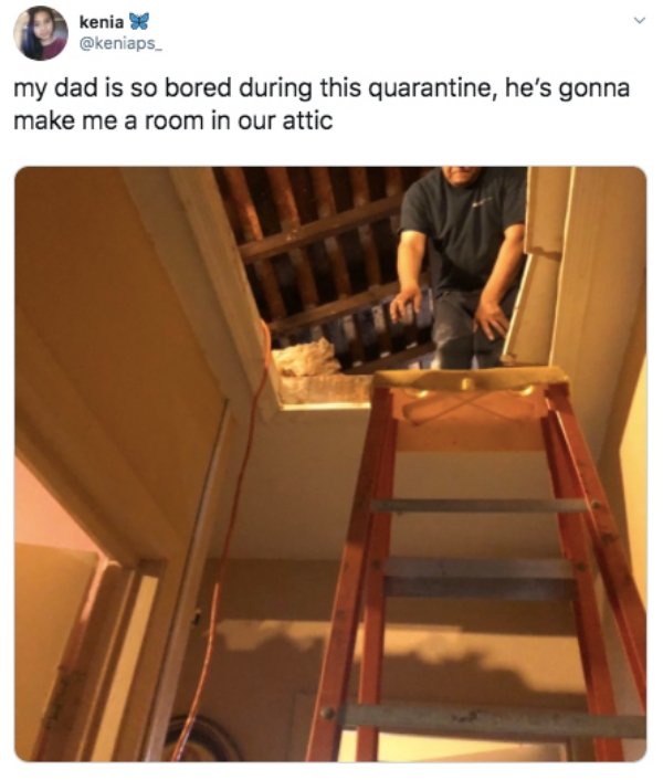 Dads Vs Coronavirus (24 pics)