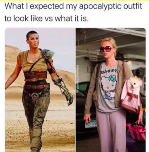 Apocalypse Outfits: Expectation Vs Reality (27 pics)