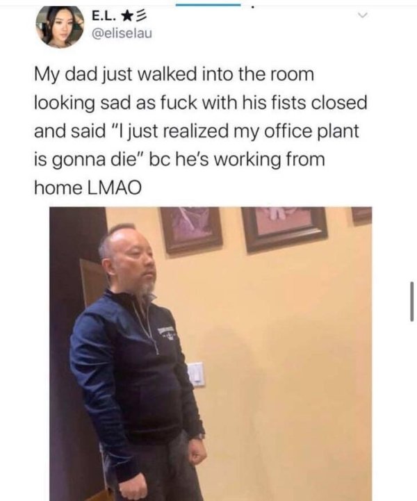 Dads Vs Coronavirus (24 pics)