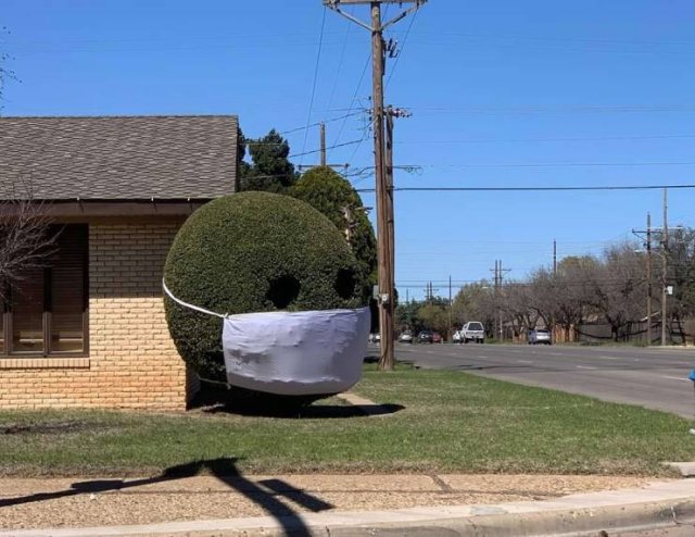 Acid Picdump. Part 1 (95 pics)