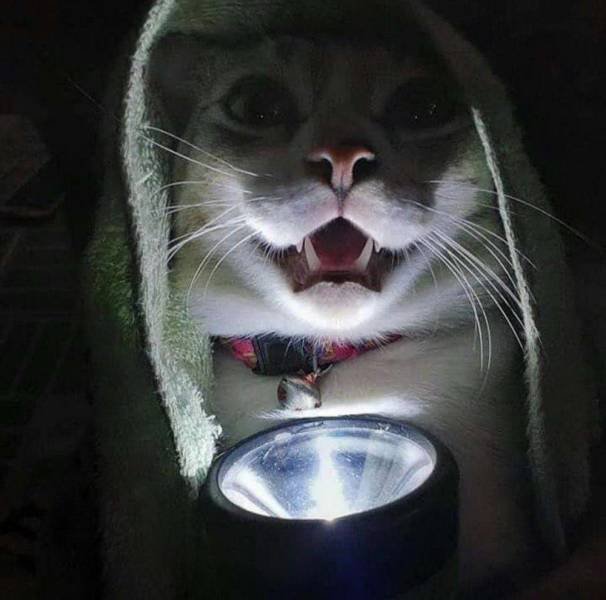 Acid Picdump. Part 1 (95 pics)