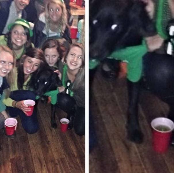 Acid Picdump. Part 1 (95 pics)