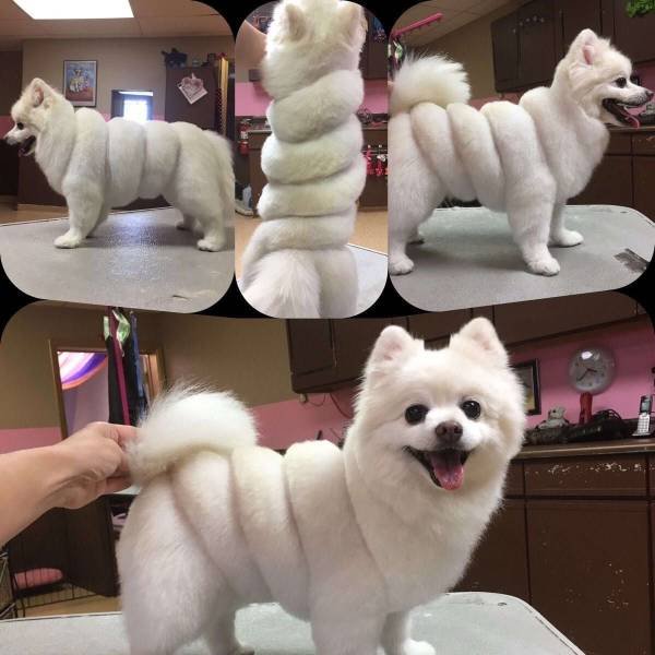 Acid Picdump. Part 1 (95 pics)