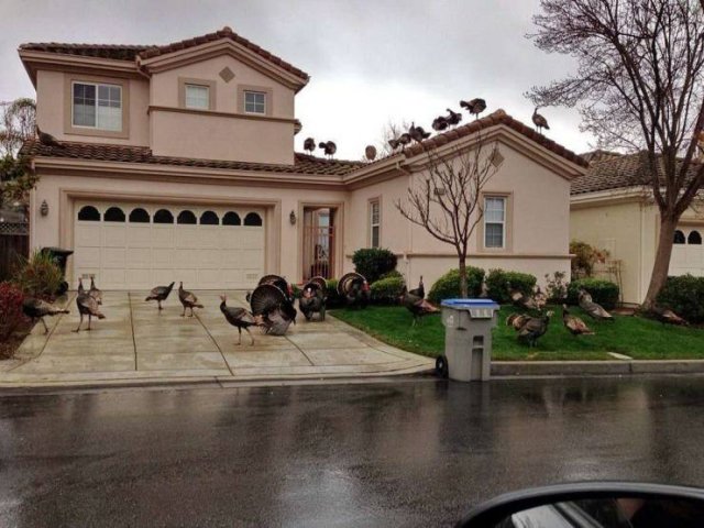Acid Picdump. Part 1 (95 pics)