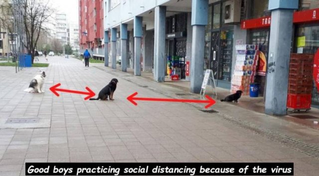 Acid Picdump. Part 1 (95 pics)