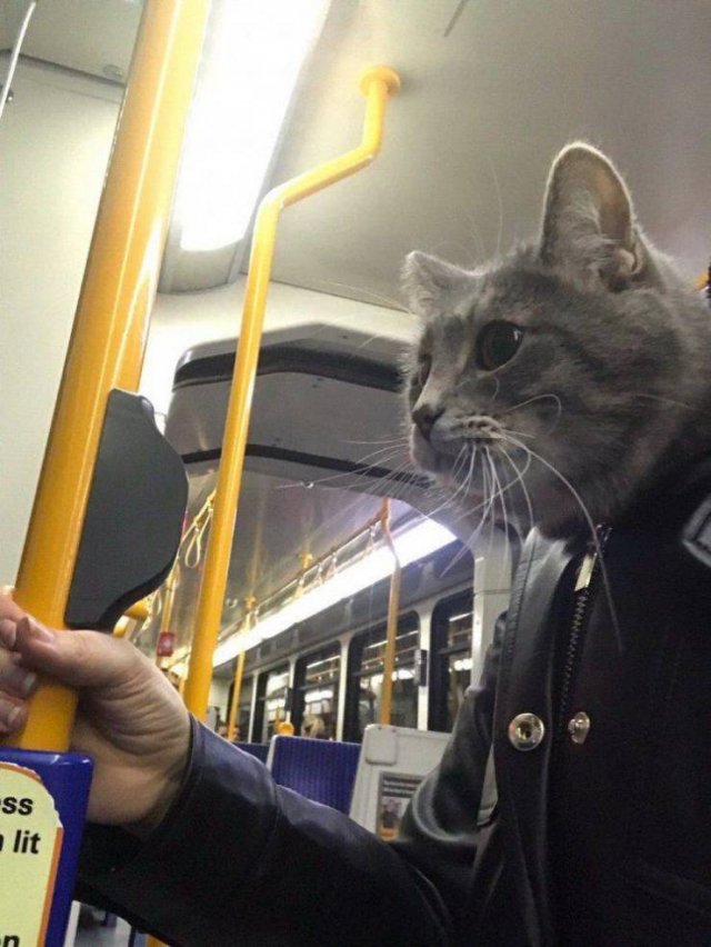 Acid Picdump. Part 1 (95 pics)