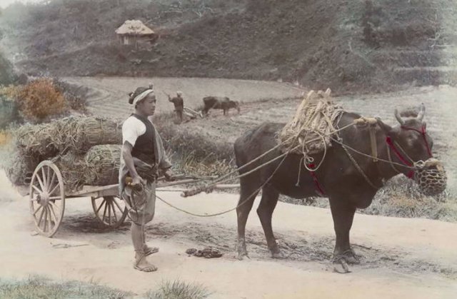 Japan 130 Years Ago (24 pics)