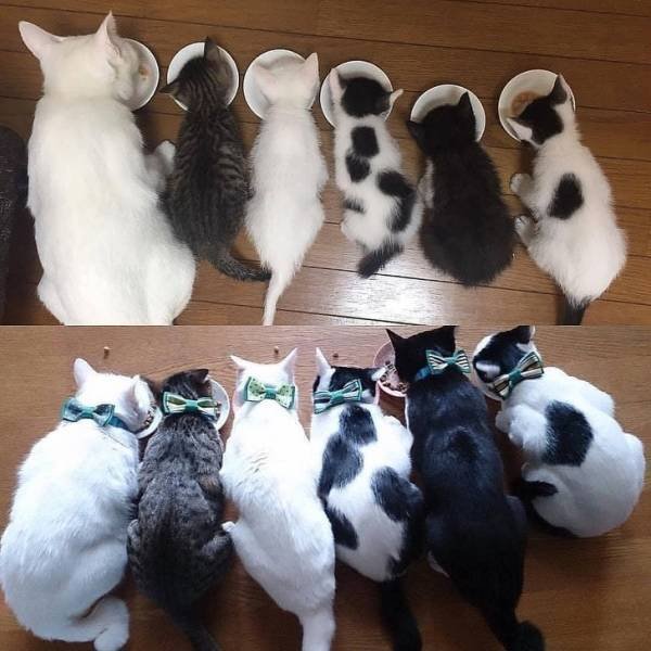 Something Never Change (23 pics) Something Never Change (23 pics)