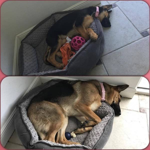 Something Never Change (23 pics) Something Never Change (23 pics)