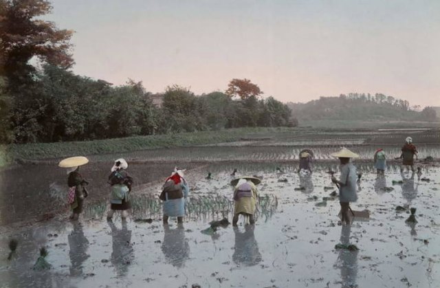 Japan 130 Years Ago (24 pics)