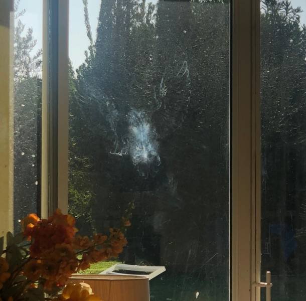 Look Closer (16 pics)
