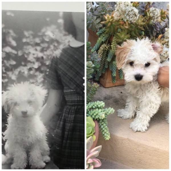 Something Never Change (23 pics) Something Never Change (23 pics)