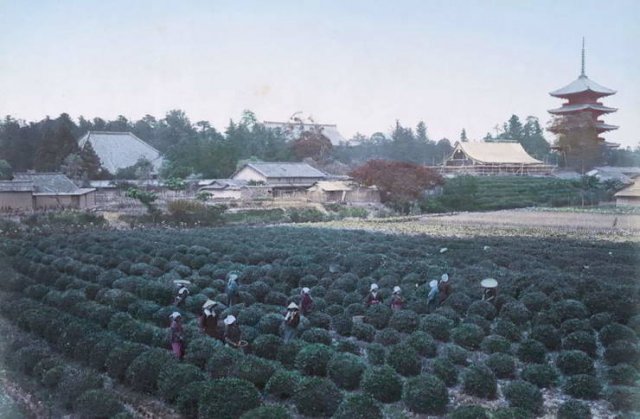 Japan 130 Years Ago (24 pics)