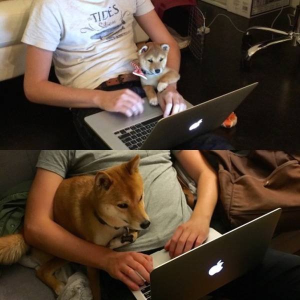Something Never Change (23 pics) Something Never Change (23 pics)