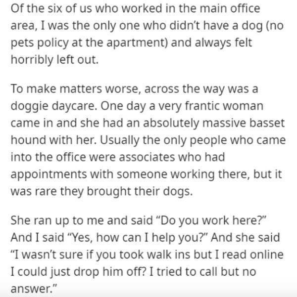 Dog Daycare (10 pics)