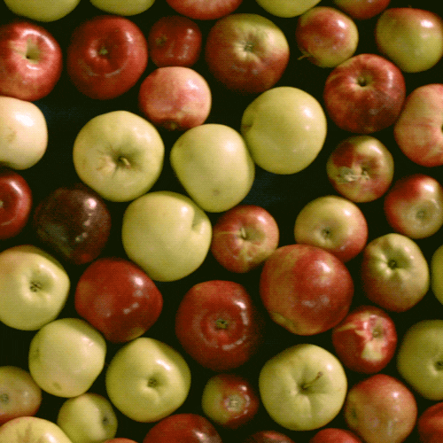 Food Tips To Save Your Groceries (17 pics)