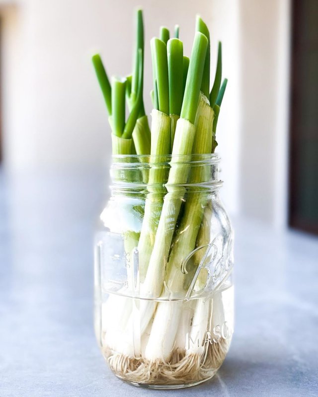 Food Tips To Save Your Groceries (17 pics)