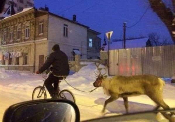 Only In Canada (24 pics)