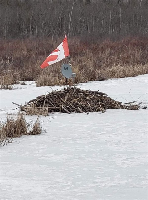 Only In Canada (24 pics)