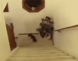 Acid Gifdump, March 26 (25 gifs)
