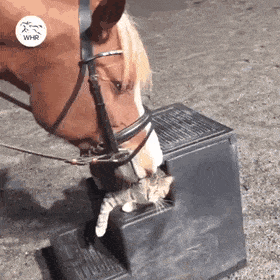 Acid Gifdump, March 26 (25 gifs)