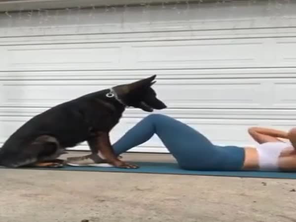 Training With Pet