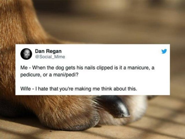 Quarantined Married Life Tweets (24 pics)