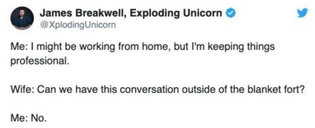 Quarantined Married Life Tweets (24 pics)