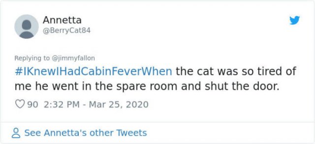 #IKnewIHadCabinFeverWhen Tweets (30 pics)