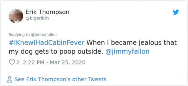 #IKnewIHadCabinFeverWhen Tweets (30 pics)