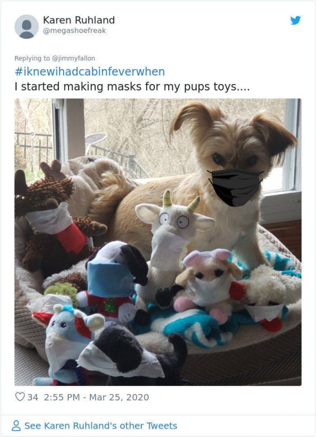 #IKnewIHadCabinFeverWhen Tweets (30 pics)