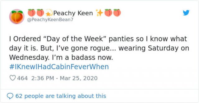 #IKnewIHadCabinFeverWhen Tweets (30 pics)