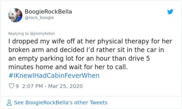 #IKnewIHadCabinFeverWhen Tweets (30 pics)