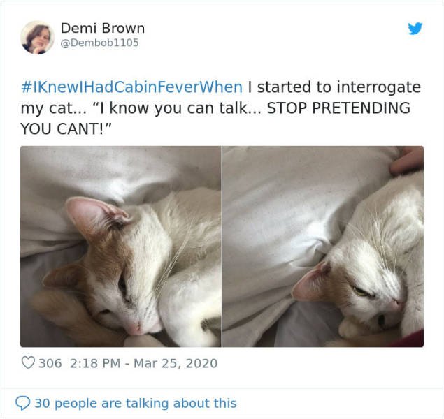 #IKnewIHadCabinFeverWhen Tweets (30 pics)