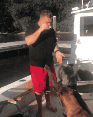 Fails (28 gifs)
