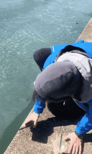 Fails (28 gifs)