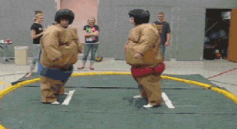 Fails (28 gifs)